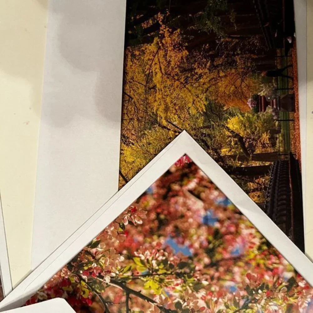 Central Park‎ Conservatory Greeting Cards – Set of 5 Blank Cards  Any Occasion
